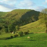 Picture of Dovedale