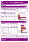 Link to 2011 Census Summary Profile