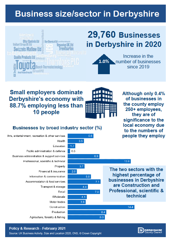 Infographic - Business size and sector 2020