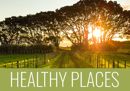 Healthy Places